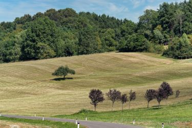 bild oestereich