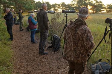 bild zingst ak2024x72 klein