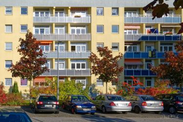 bild weststadt axel